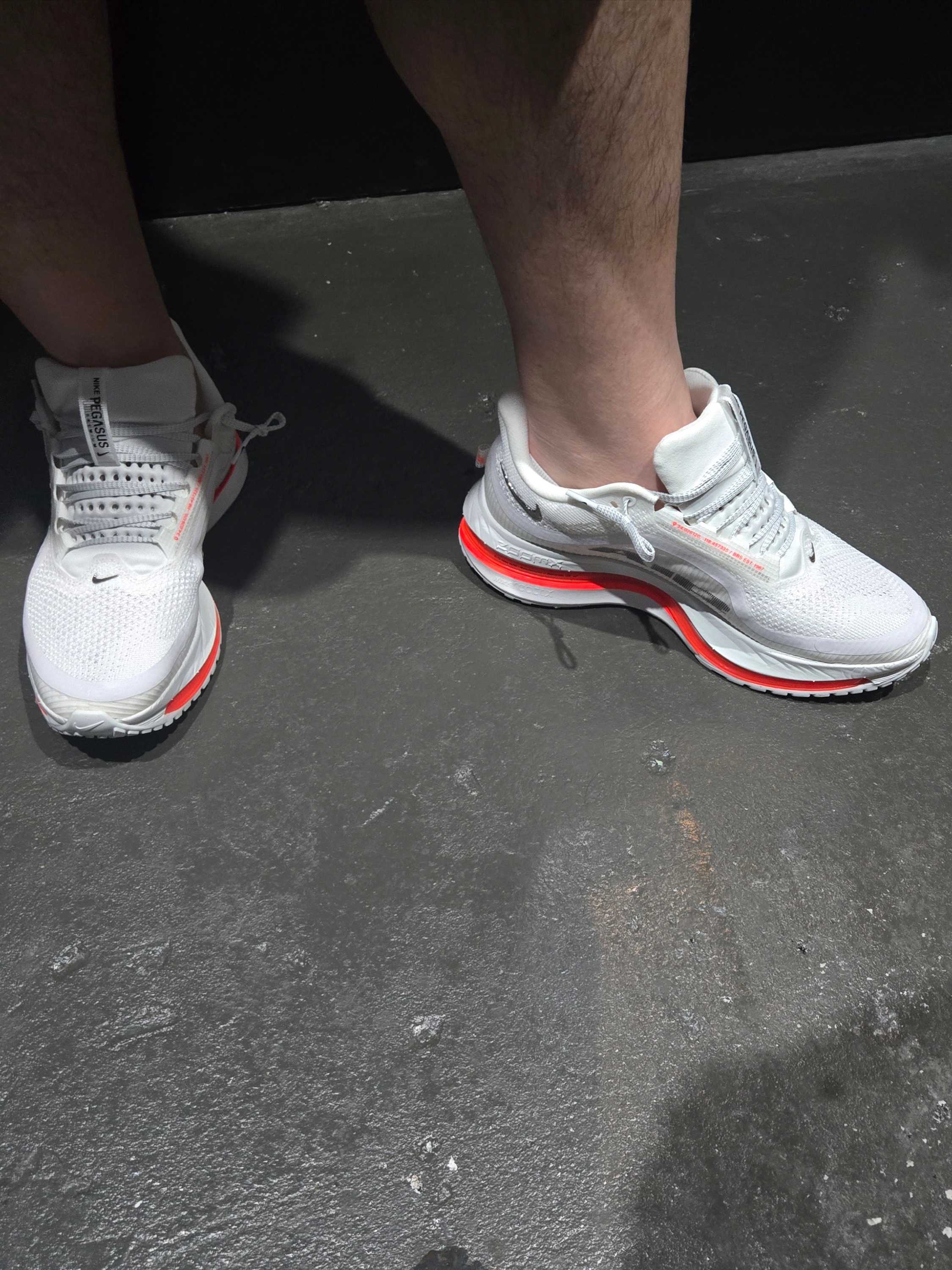 Nike Pegasus Premium Summit White Bright Crimson 착용 스타일