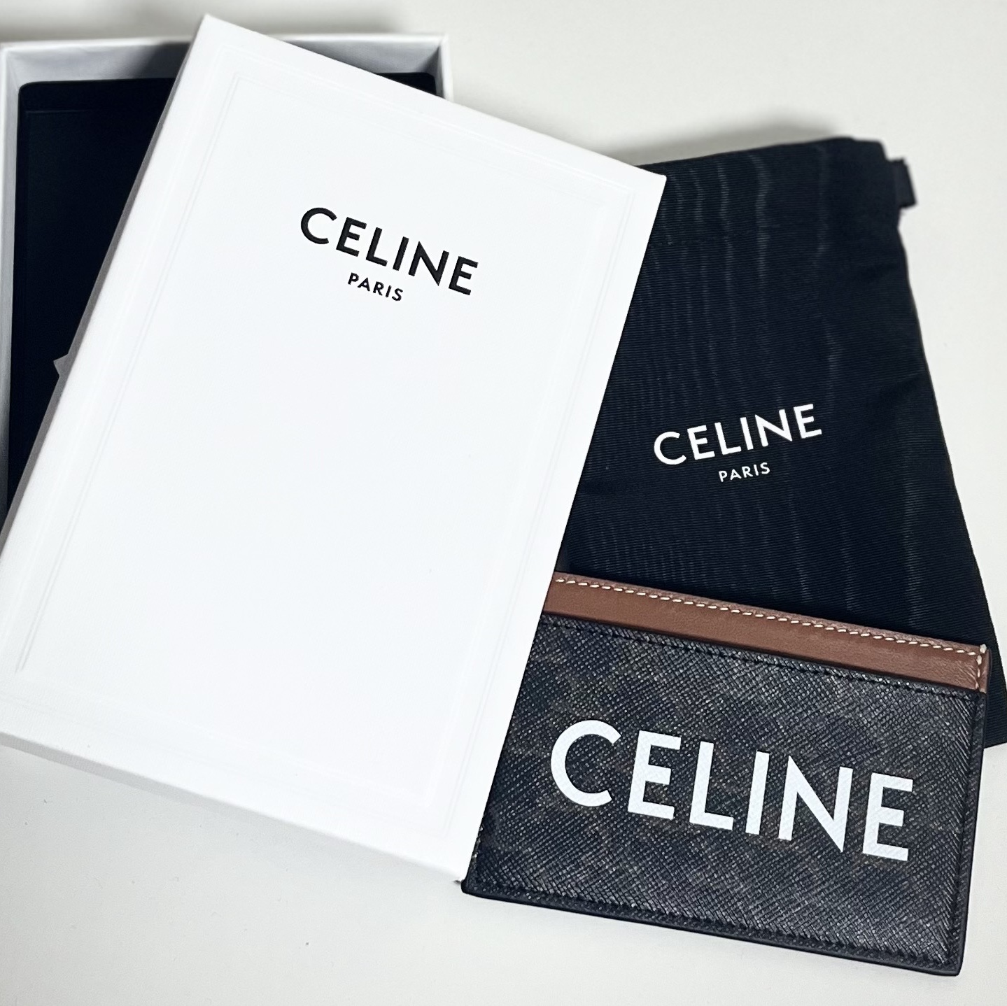 Celine Card Holder in Triomphe Canvas with Celine Print Tan 착용 스타일