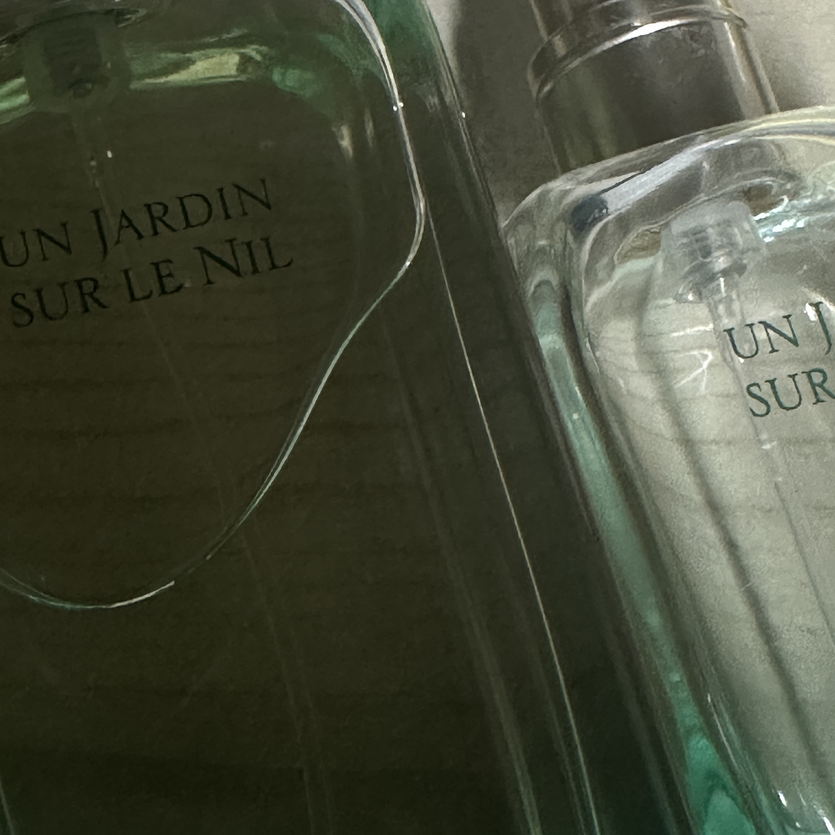 Hermes Un Jardin Sur Le Nil Eau de Toilette 30ml 착용 스타일