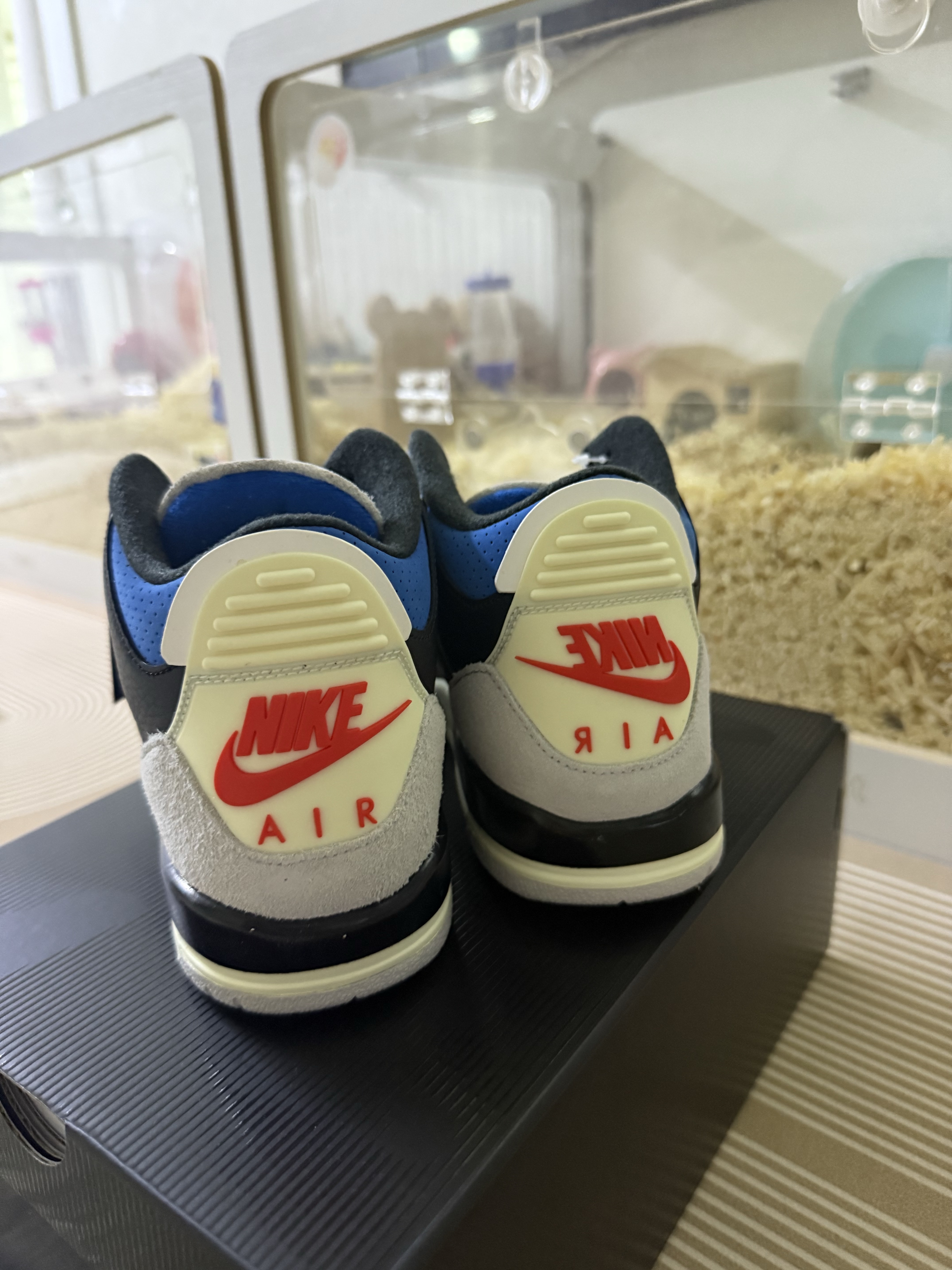 Jordan 3 Retro OG Rare Air 착용 스타일 - 2