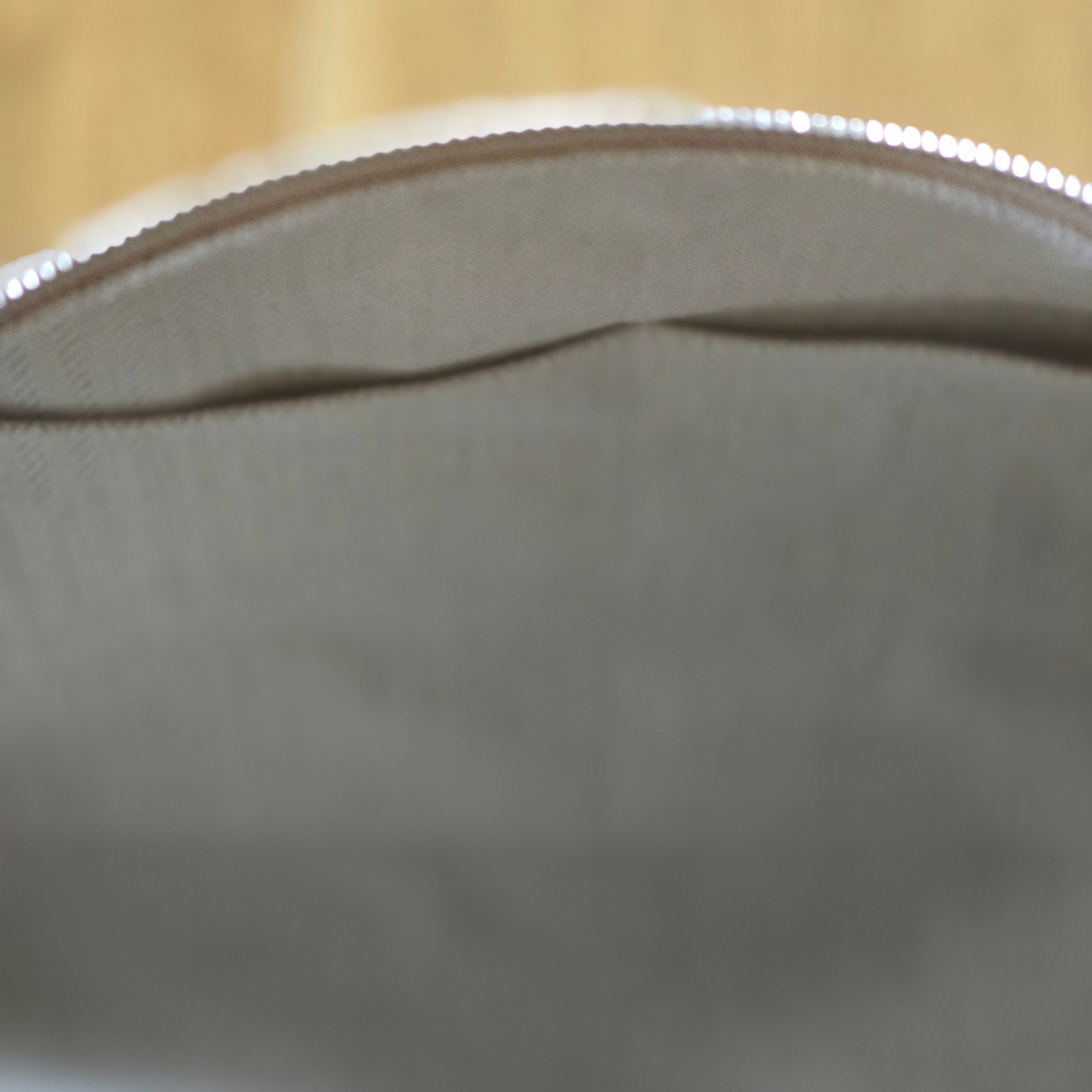Hermes Large Bride-A-Brac Case Canvas & Naturel 착용 스타일 - 5
