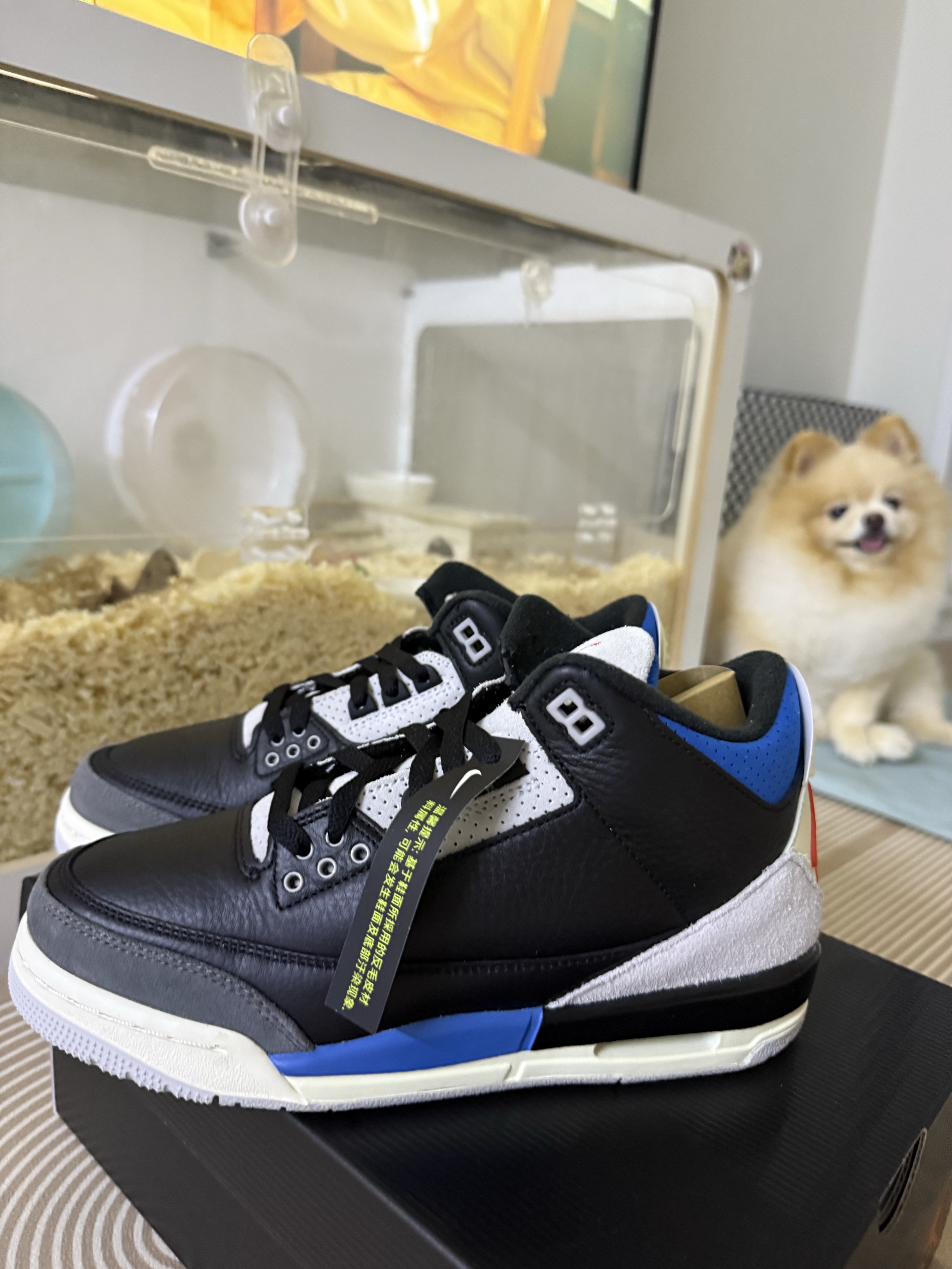 Jordan 3 Retro OG Rare Air 착용 스타일 - 1