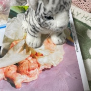 KREAM 프로필 이미지