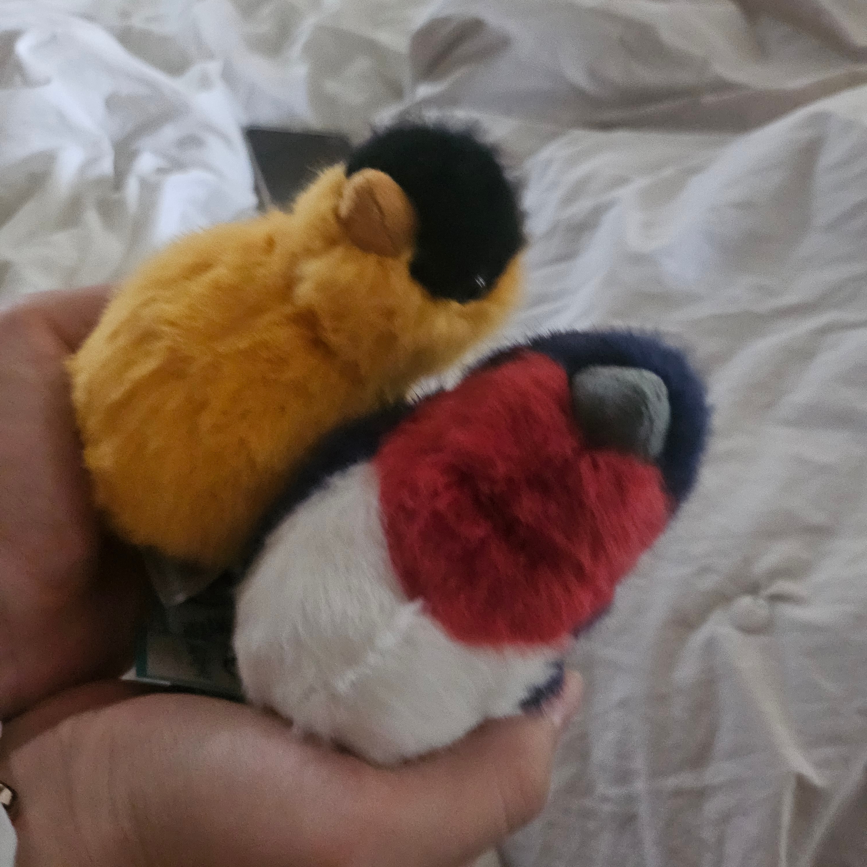 Jellycat Birdling Goldfinch Yellow, Jellycat Birdling Swallow Navy 착용 스타일