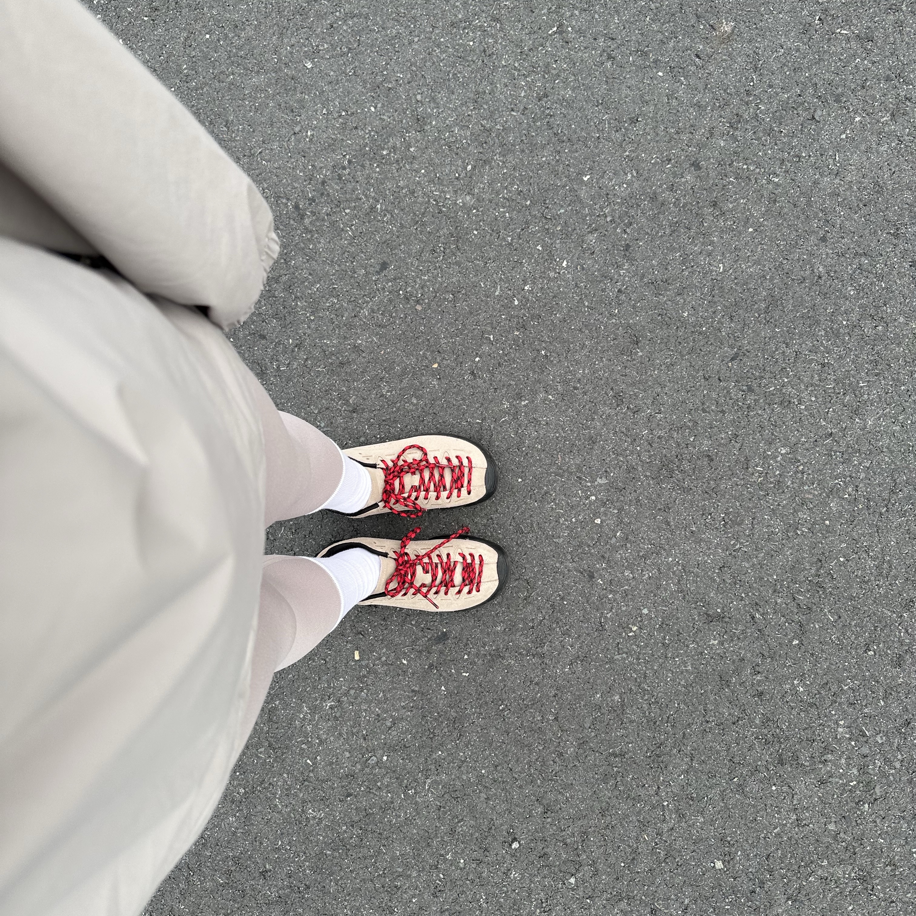 IAB Studio Hoodie Light Gray, Vans Authentic Red 착용 스타일 - 6