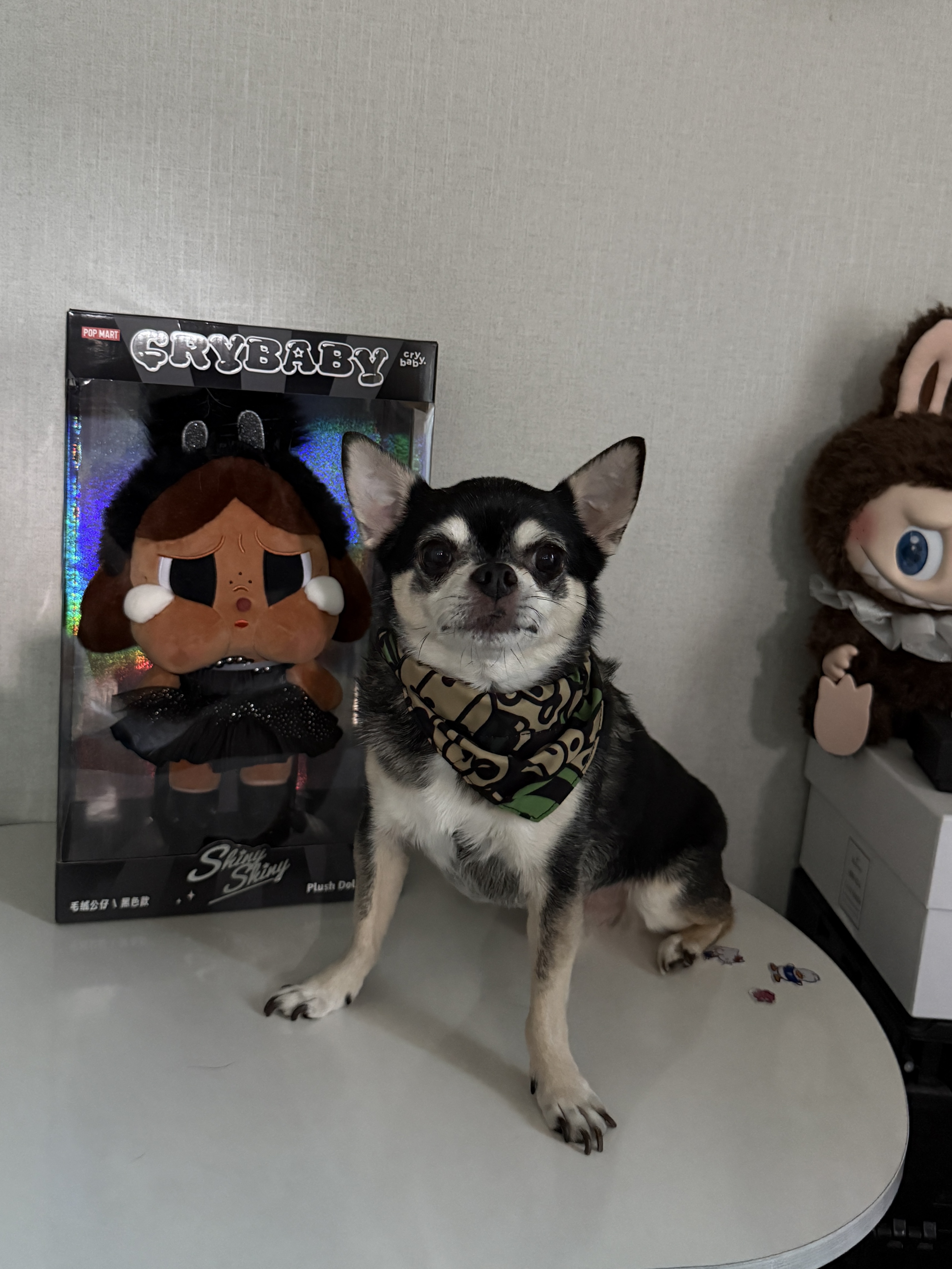 Pop Mart Crybaby Shiny Shiny Series Plush Doll Black, Pop Mart The Monsters Checkmate Series Doll 착용 스타일