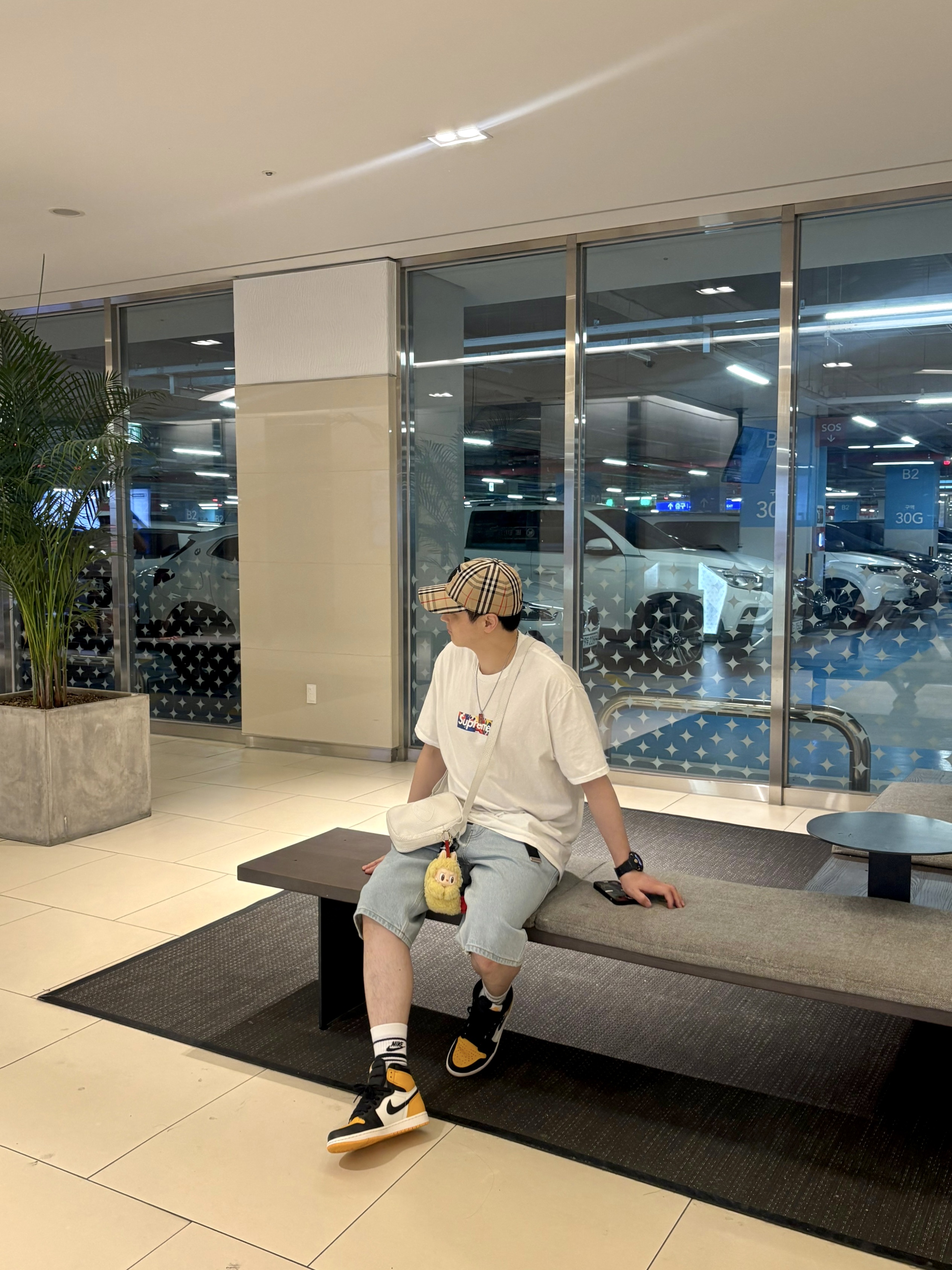 Pop Mart Labubu The Monsters Wacky Mart Series Earphone Case, Supreme x Nike Leather Shoulder Bag Snakeskin - 25SS 착용 스타일 - 2