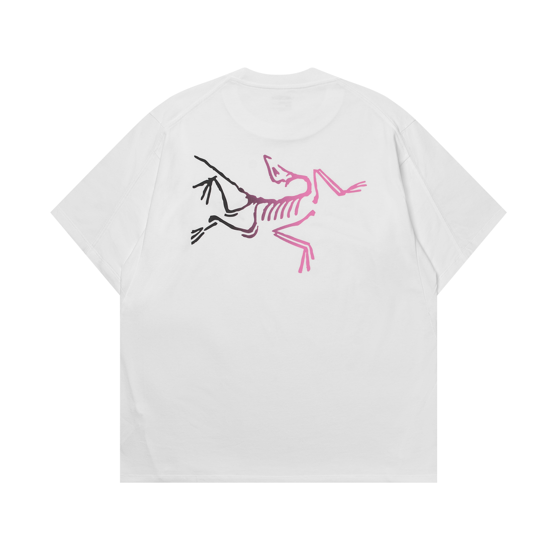 8464 Arc'teryx Kragg Cotton Logo SS T-Shirt White Light Soul