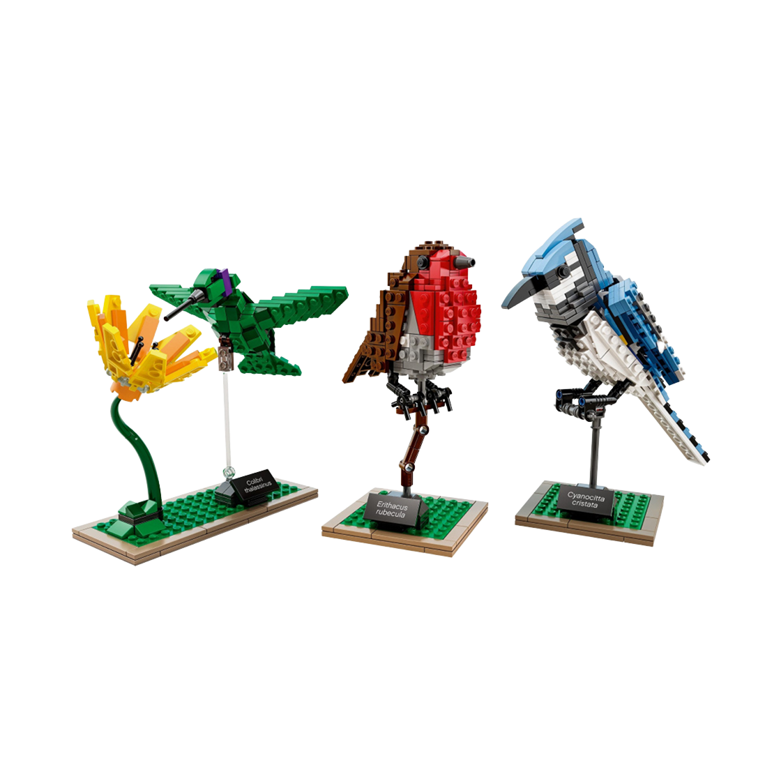 레고 새(Lego Birds) - 1