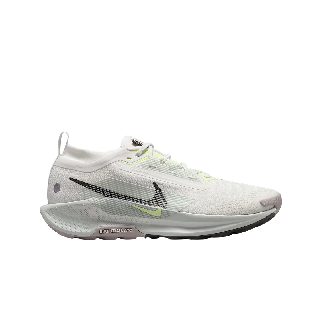 나이키 페가수스 트레일 5 고어텍스 서밋 화이트 라이트 실버(Nike Pegasus Trail 5 Gore-Tex Summit White Light Silver)