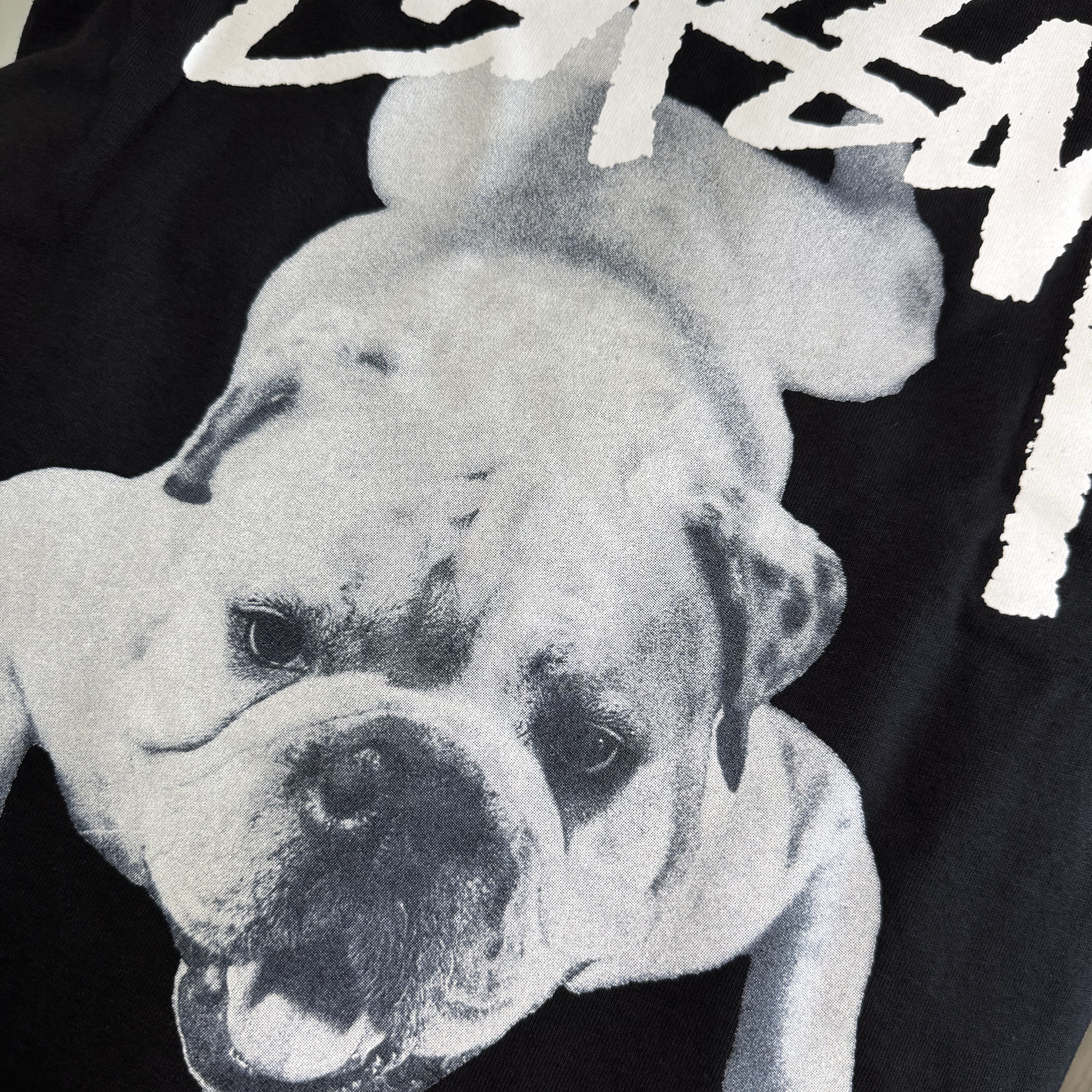 stussy dog | SHOP | KREAM