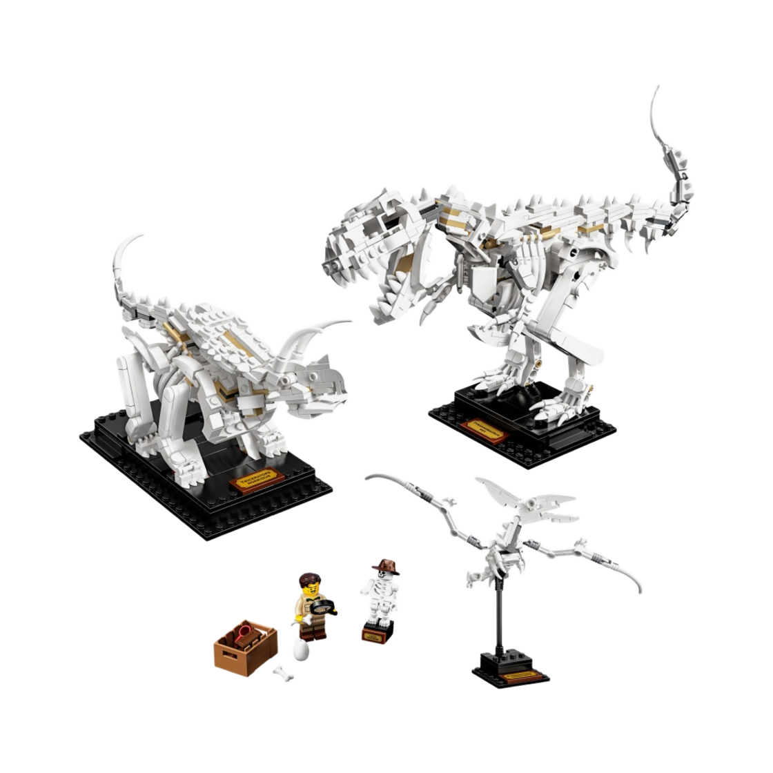 레고 공룡 화석(Lego Dinosaur Fossils) - 1