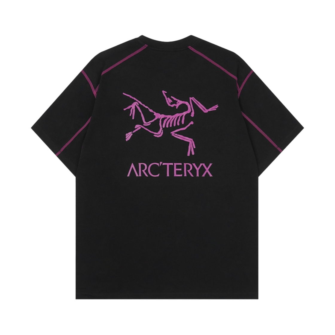 아크테릭스 시스템 A 코팔 SS 버드 티셔츠 블랙 울트라 바이올렛(Arc'teryx System A Copal SS Bird T-Shirt Black Ultra Violet)