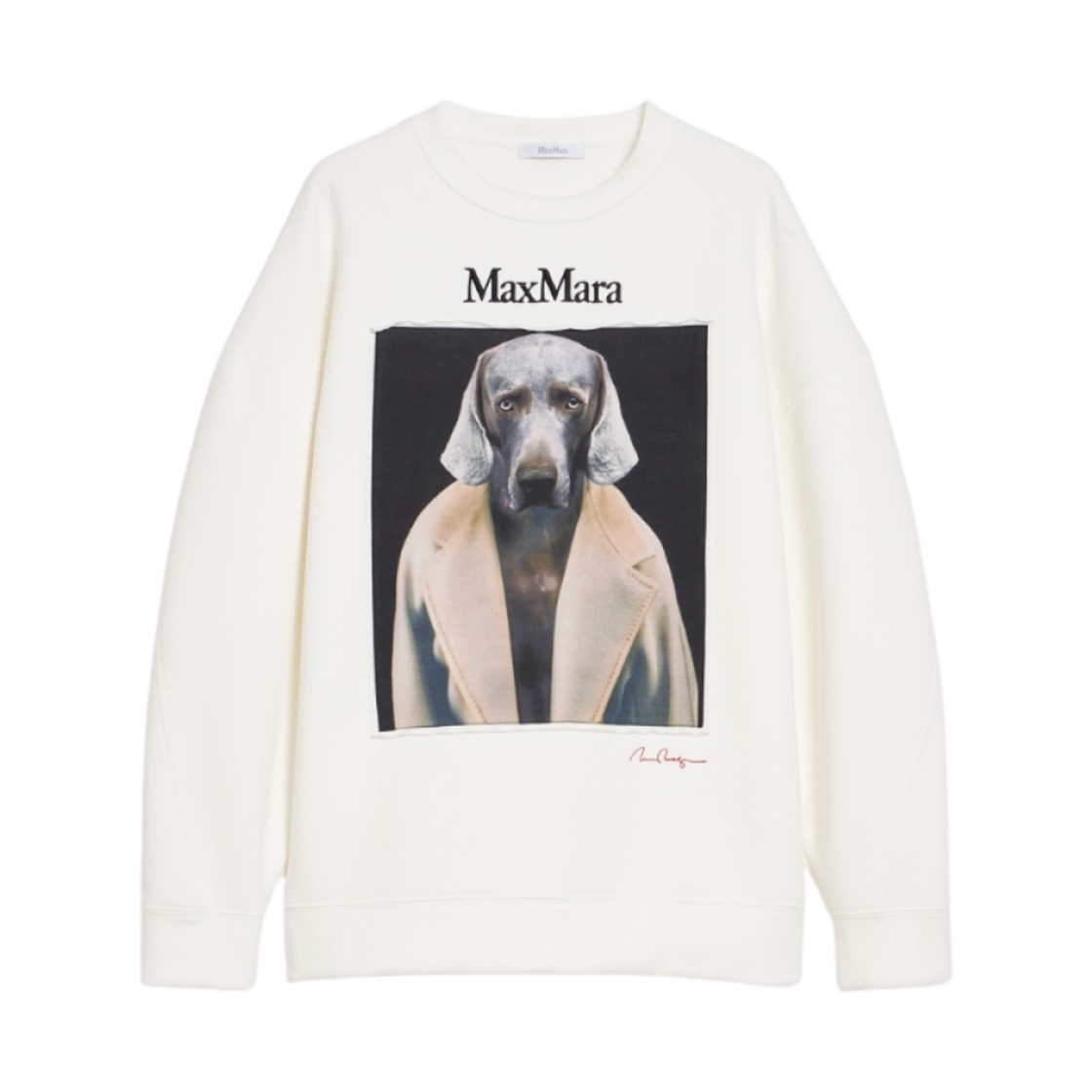 BACCO-005 (W) Max Mara Bacco Cotton Sweatshirt Ivory
