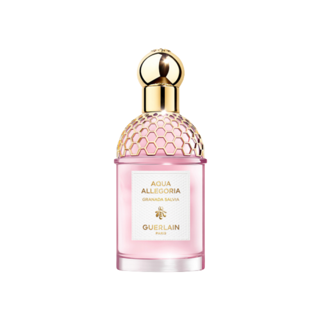 ファンデーション GUERLAIN PARURE GOLD SKIN OC COOL/ROSE ファンデーション GUERLAIN PARURE GOLD SKIN OC COOL/ROSE Guerlain