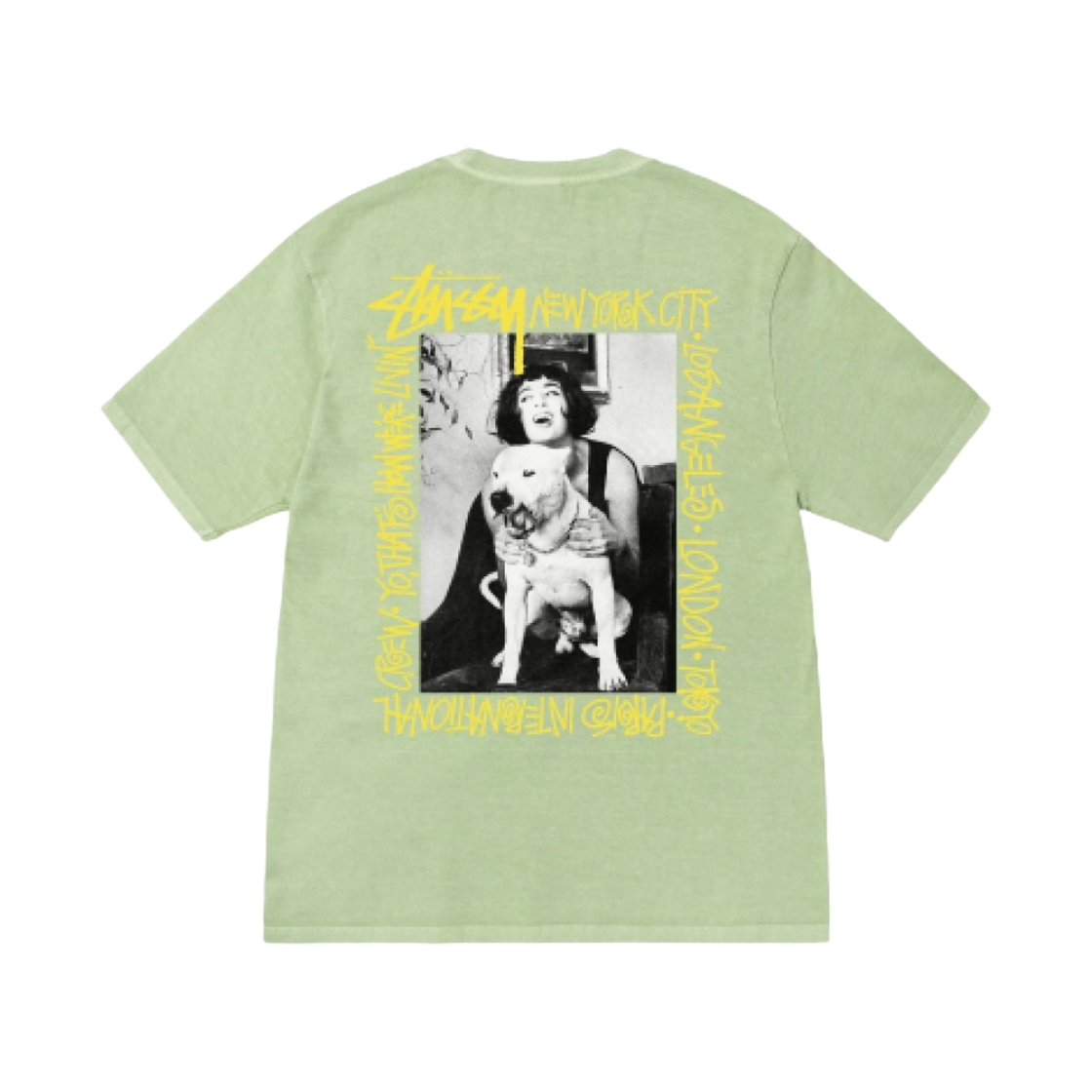 스투시 하우 위아 리빈 피그먼트 다이드 티셔츠 세이지(Stussy How We're Livin' Pigment Dyed T-Shirt Sage)
