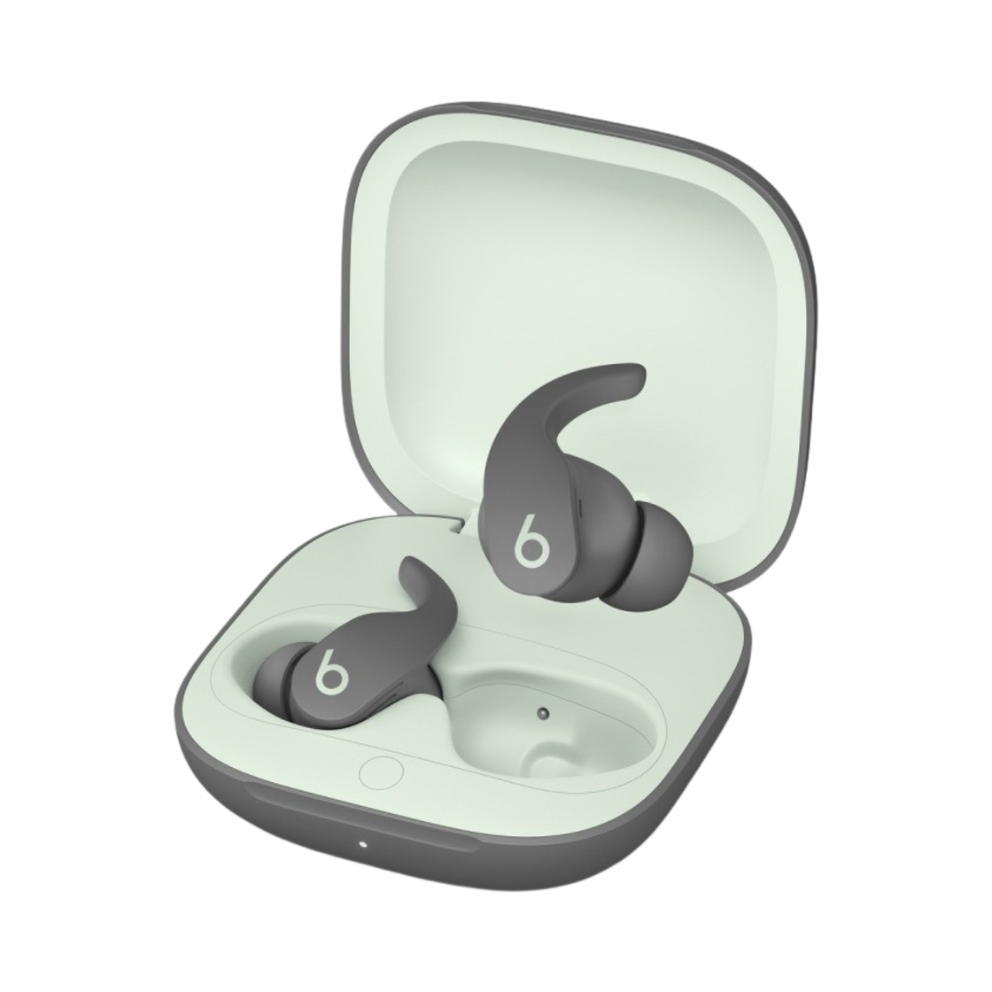 비츠 핏 프로 트루 이어버드 세이지 그레이 (국내 정식 발매 제품)(Beats Fit Pro True Wireless Earbuds Sage Gray (Korean Ver.))