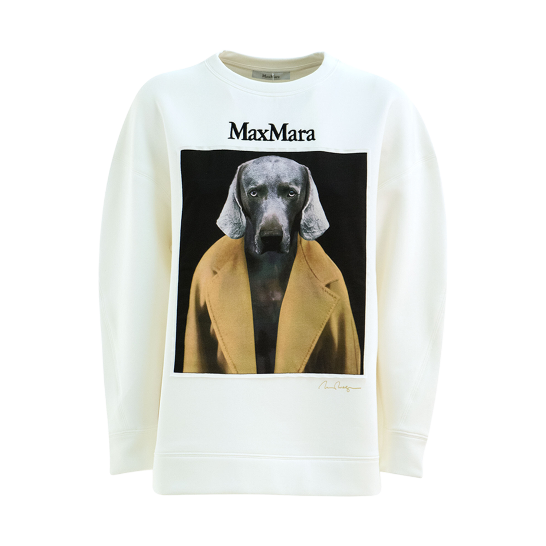 (W) 막스마라 바코 코튼 스웨트셔츠 아이보리((W) Max Mara Bacco Cotton Sweatshirt Ivory)