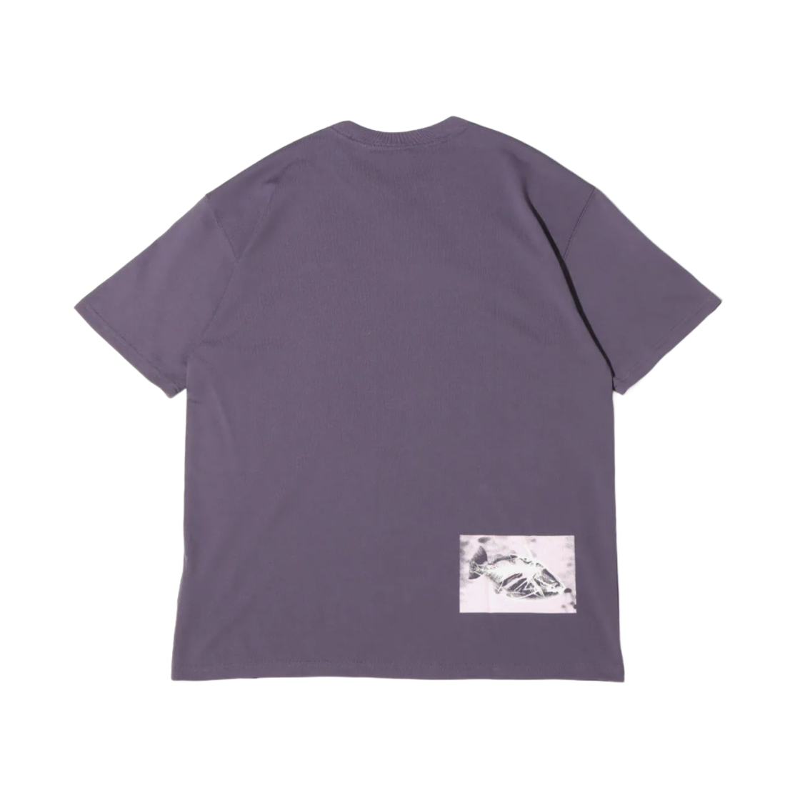 DD8807-506 Nike ACG Nature T-Shirt Dark Raisin - US/EU - #2