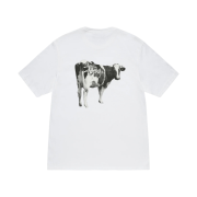 Stussy Grassfed T-Shirt White