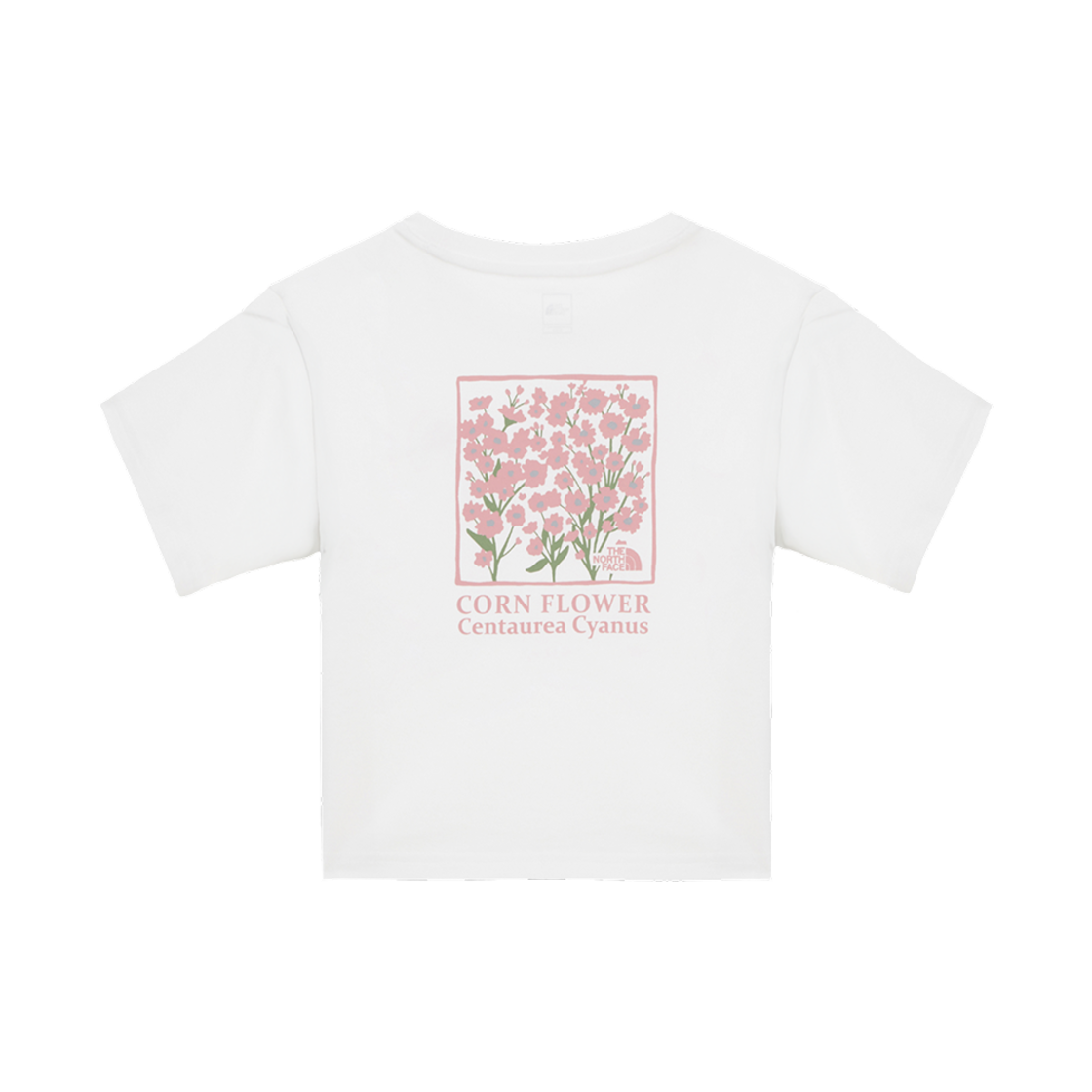 (W) 노스페이스 플로렛 숏슬리브 라운드 티셔츠 오프 화이트 - 25SS((W) The North Face Floret S/S Round T-Shirt Off White - 25SS) - 2