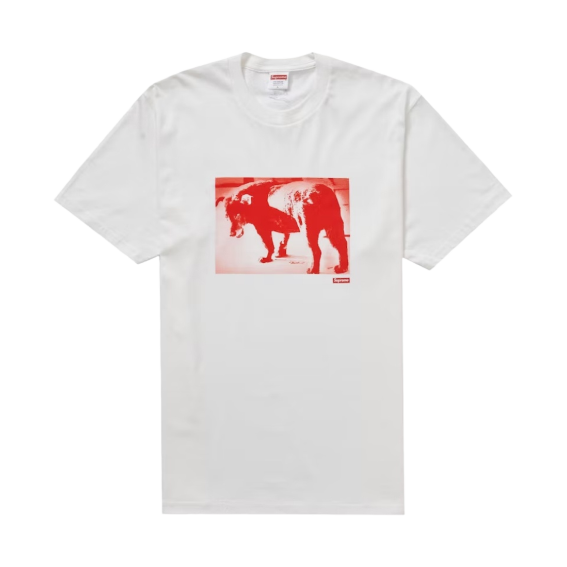 슈프림 x 다이도 모리야마 도그 티셔츠 화이트 - 22SS(Supreme x Daido Moriyama Dog T-Shirt White - 22SS) - 1
