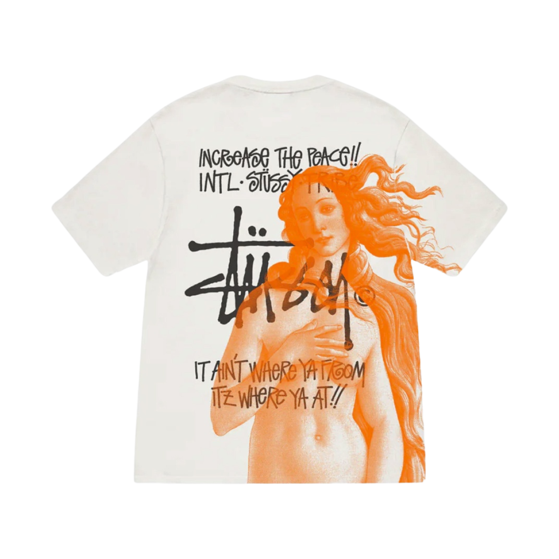 스투시 이스트 비너스 피그먼트 다이드 티셔츠 내츄럴(Stussy Ist Venus Pigment Dyed T-Shirt Natural) - 1