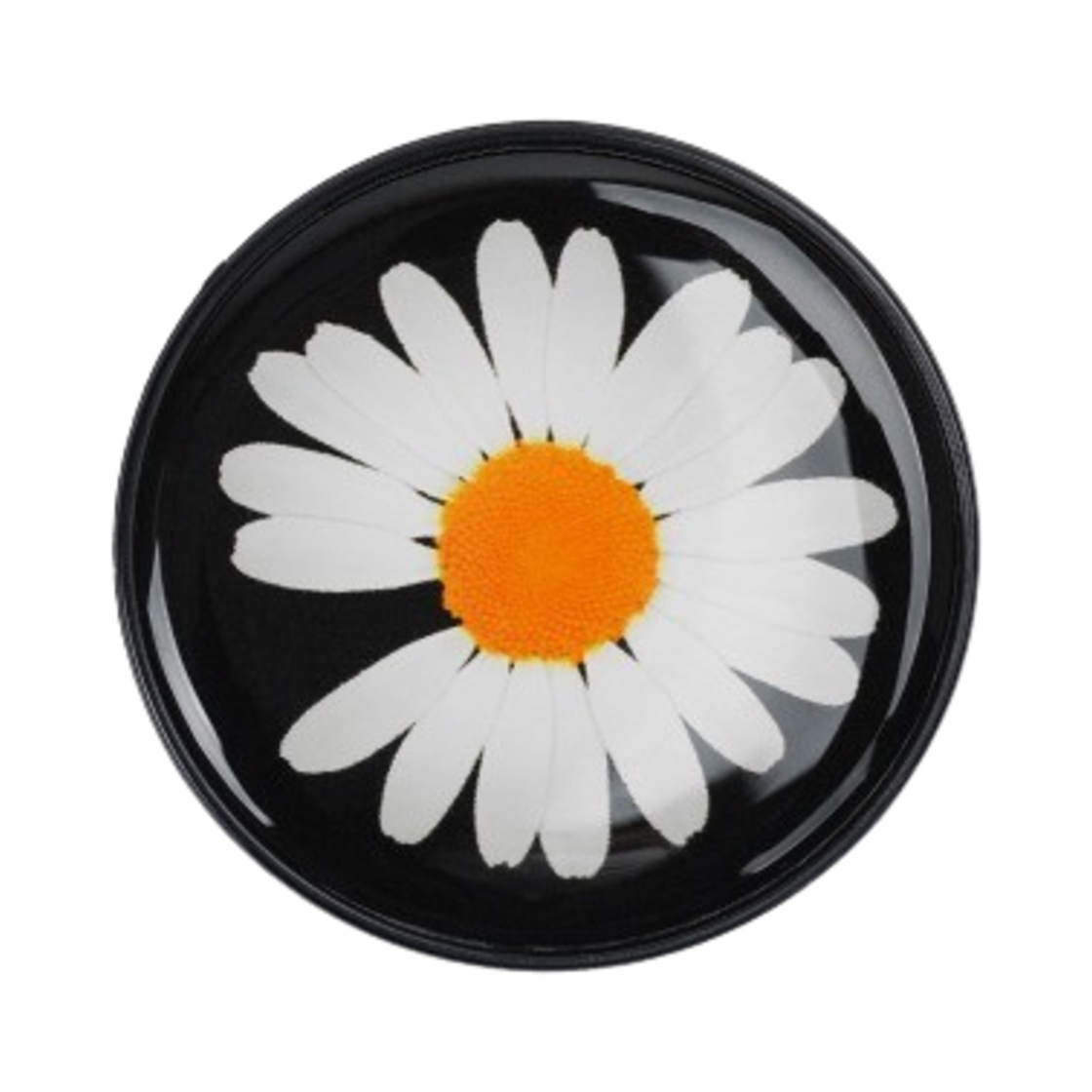 피스마이너스원 폰 팝업 그립 #3 블랙 | Peaceminusone | KREAM