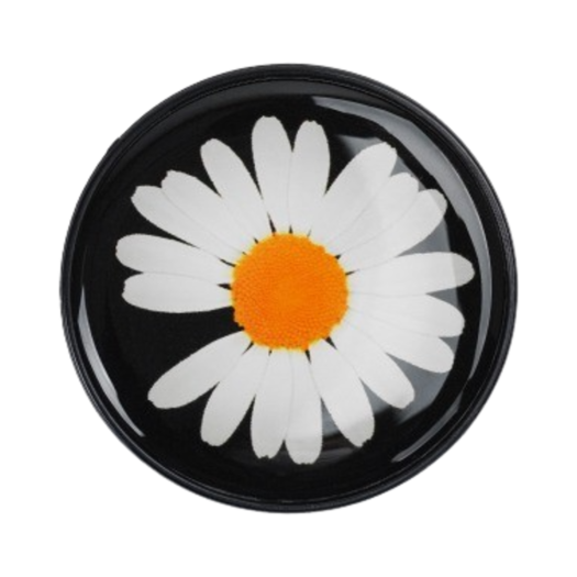 スマホアクセサリー peaceminusone phone pop up grip PEACEMINUSONE（その他）のフリマアイテム一覧