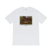 Supreme Masterpieces T-Shirt White - 20SS