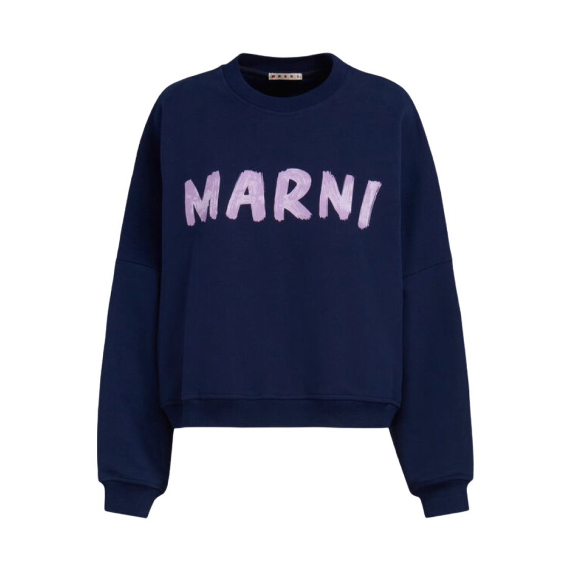 (W) 마르니 프린트 바이오 코튼 스웨트셔츠 블루 카이아나이트((W) Marni Print Bio Cotton Sweatshirt Blue Kyanite)