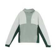 Nike ACG Polartec Wolf Tree Pullover Hoodie Mica Green Light Silver - Asia