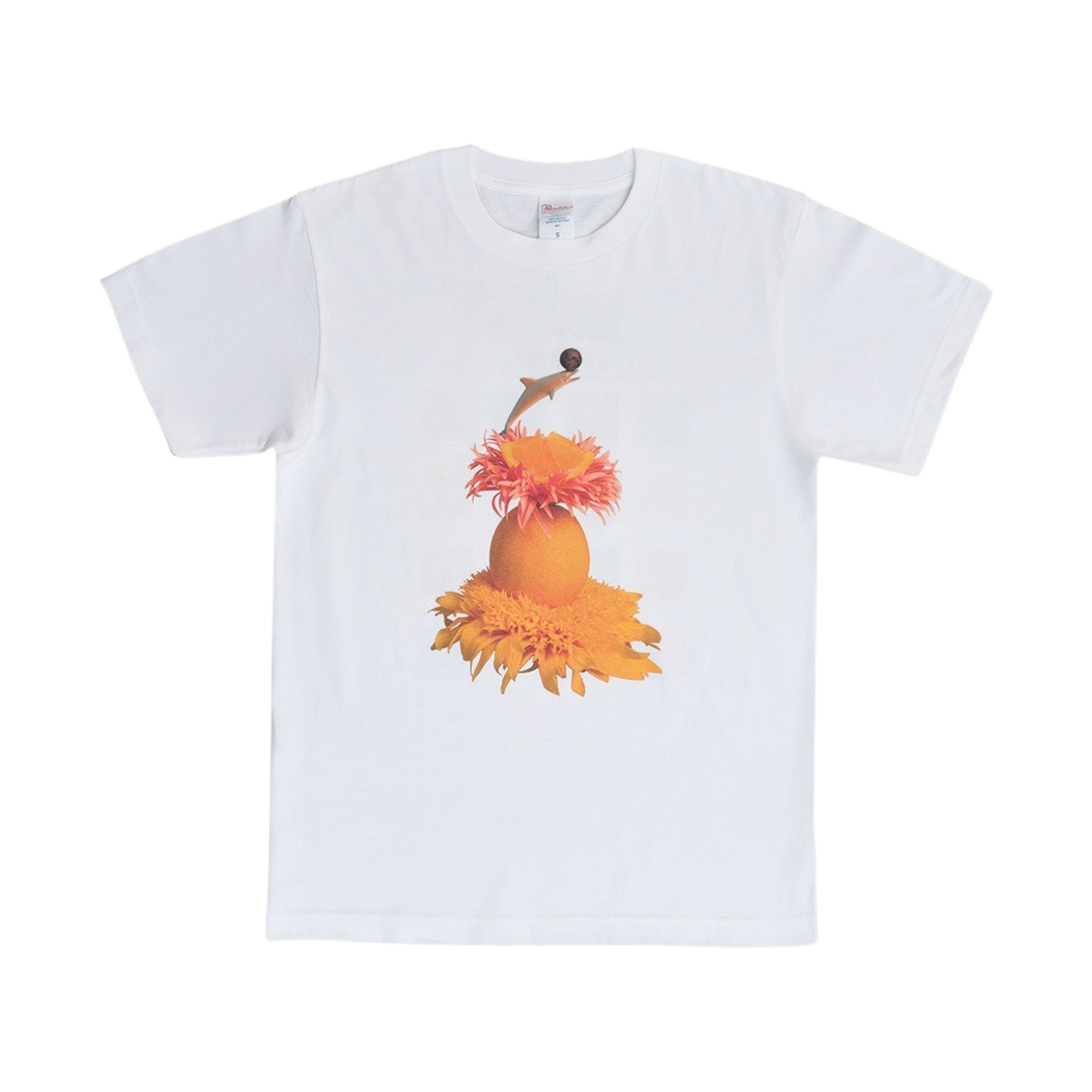 김씨네과일 & 꽃 오렌지