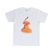 Kims Fruits & Flower Orange