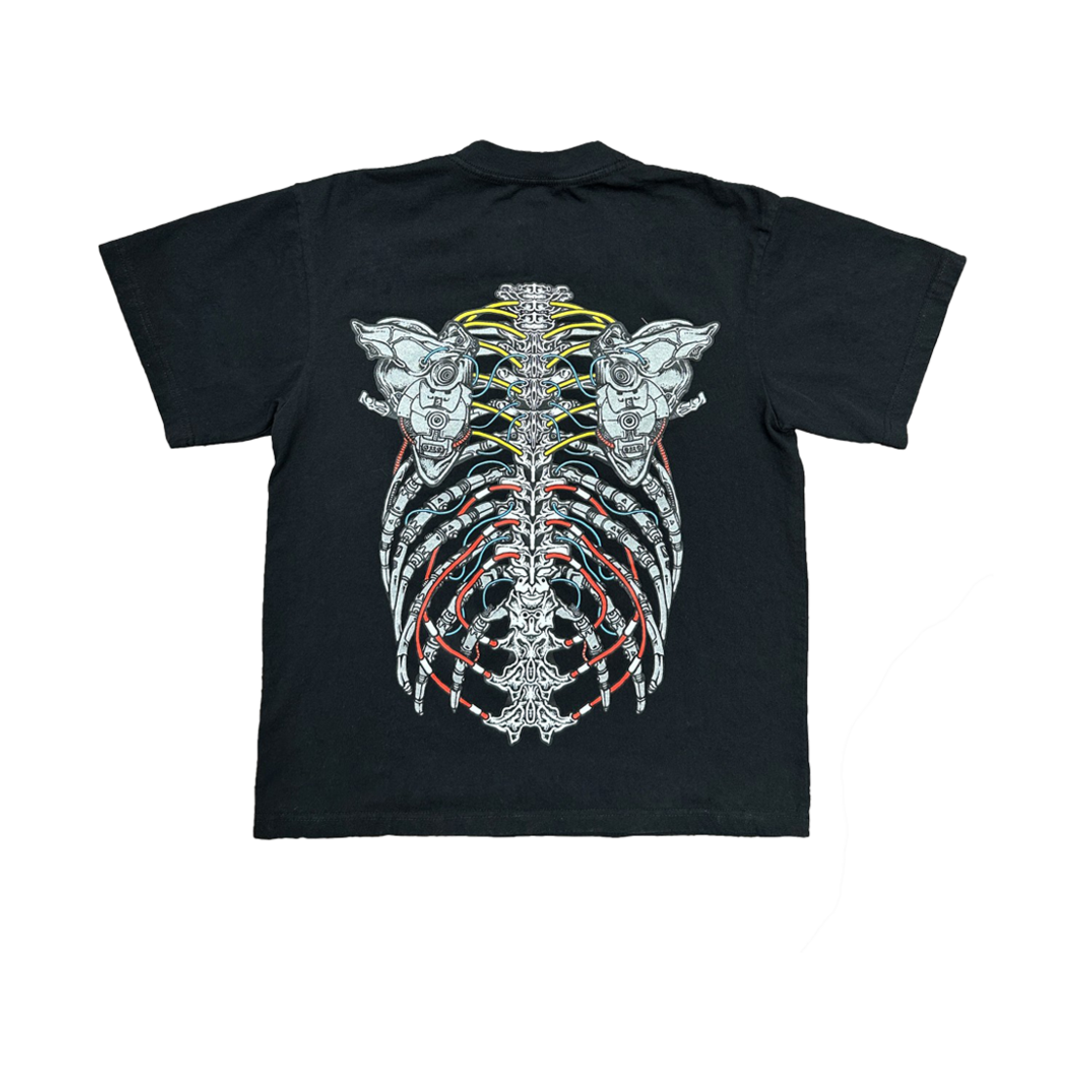 RNR24FTPTS002 R&Co. RNR Anatomy Black