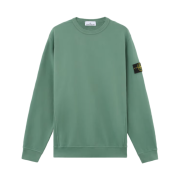 Stone Island 62420 Brushed Organic Cotton Fleece Crewneck Sweatshirt Sage Green - 24FW