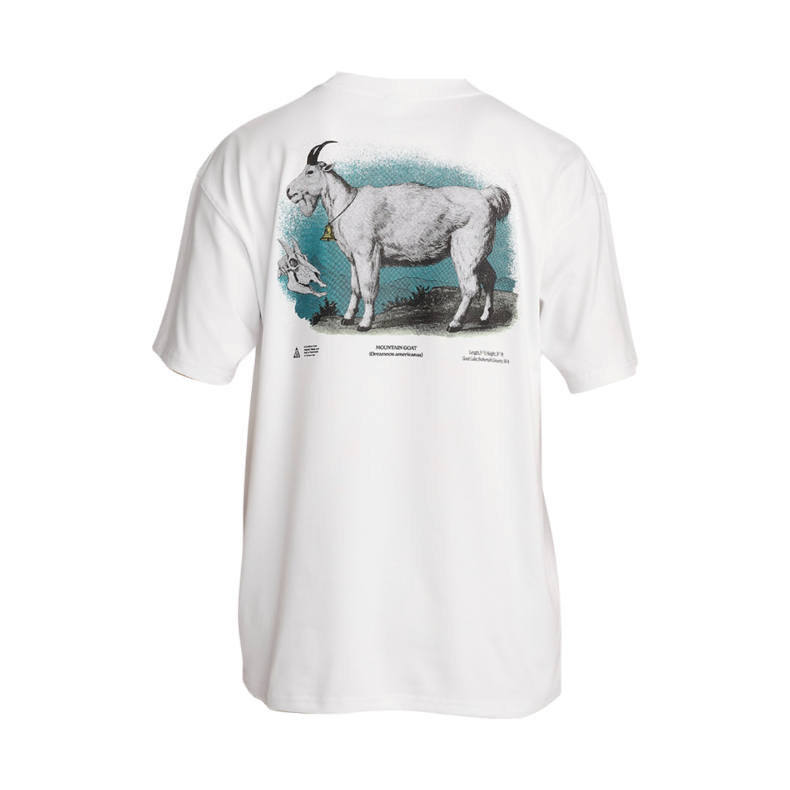 Nike ACG Dri-Fit T-Shirt Summit White - Asia