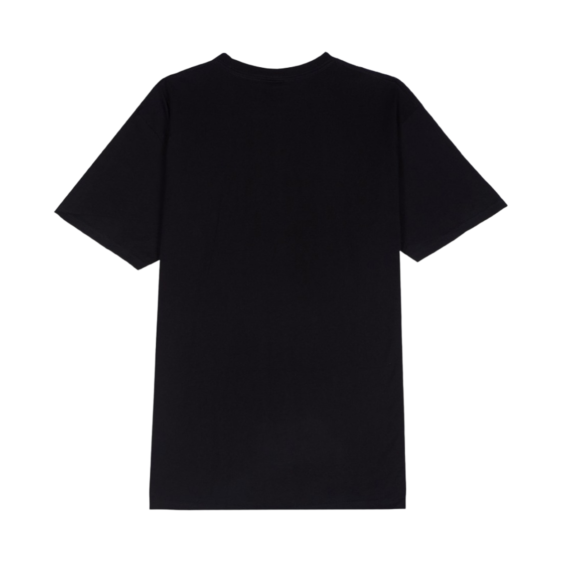 스투시 사와로 티셔츠 블랙(Stussy Saguaro T-Shirt Black) - 2