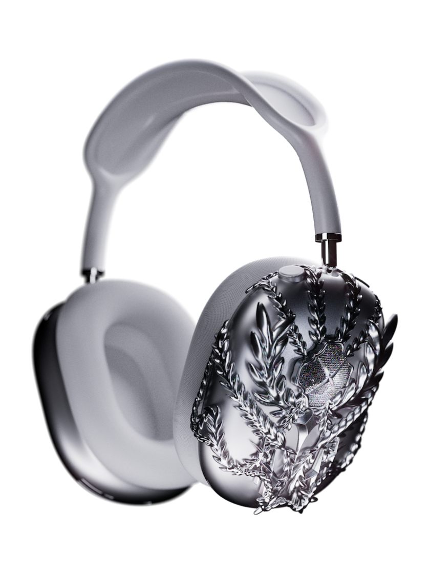 Victory Max Case DAVID AVLN X TEST ARTIFACT Victory AirPods Max Case