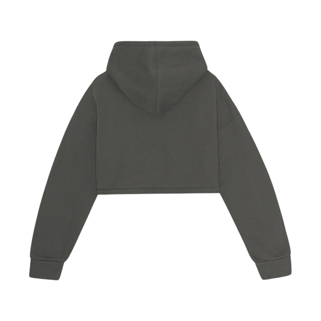 (W) 가니 패브릭스 오브 더 퓨처 크롭 후드 팬텀((W) Ganni Fabrics Of The Future Cropped Hoodie Phantom) - 2