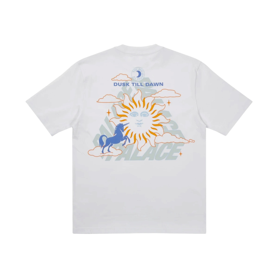 팔라스 다 원 티셔츠 화이트 - 21FW