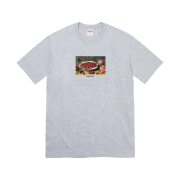 Supreme Strawberries T-Shirt Heather Grey - 23SS