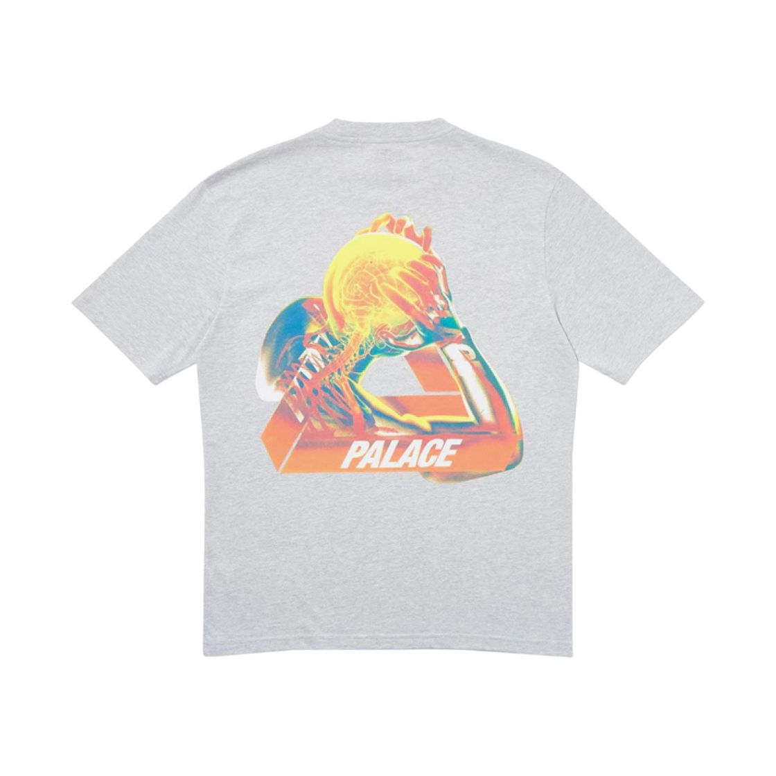 팔라스 트라이게인 티셔츠 그레이 말 - 20SS