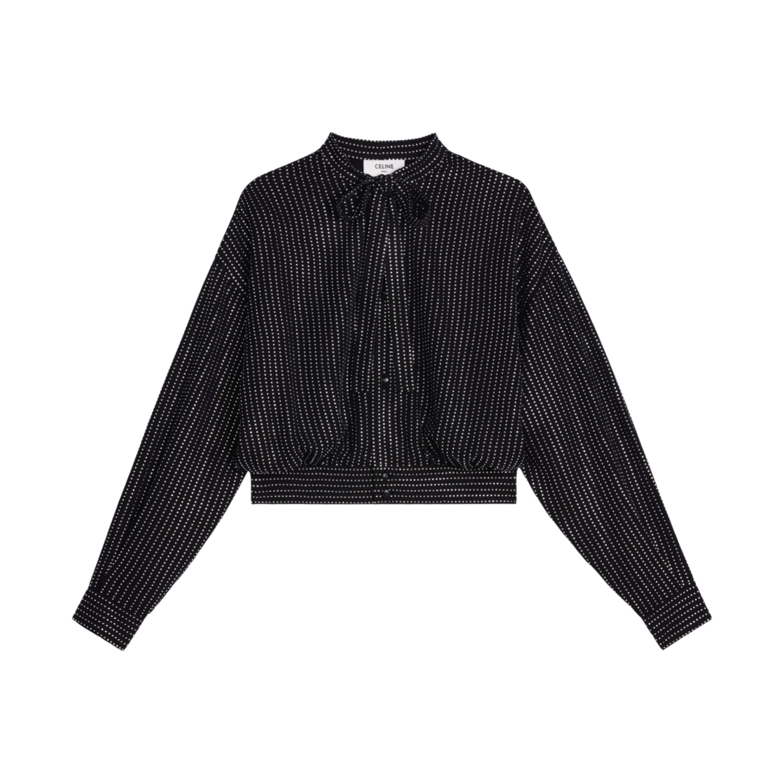 (W) 셀린느 실크 캐디 자수 에비에이터 셔츠 블랙((W) Celine Embroidered Aviator Shirt in Silk Cady Black) - 1