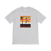 Supreme Dunk T-Shirt Heather Grey - 21SS