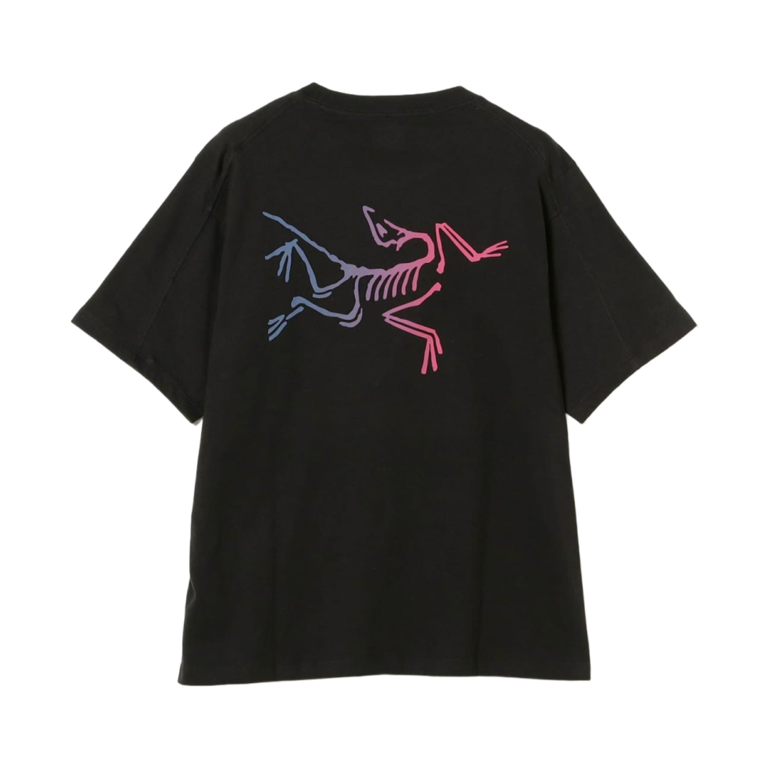 아크테릭스 크래그 코튼 로고 SS 티셔츠 블랙 멀티(Arc'teryx Kragg Cotton Logo SS T-Shirt Black Multi)