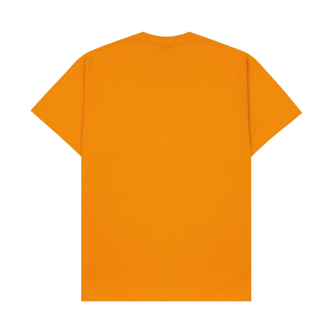 나이키 ACG 로고 티셔츠 써킷 오렌지 - US/EU(Nike ACG Logo T-Shirt Space Circuit Orange - US/EU) - 2