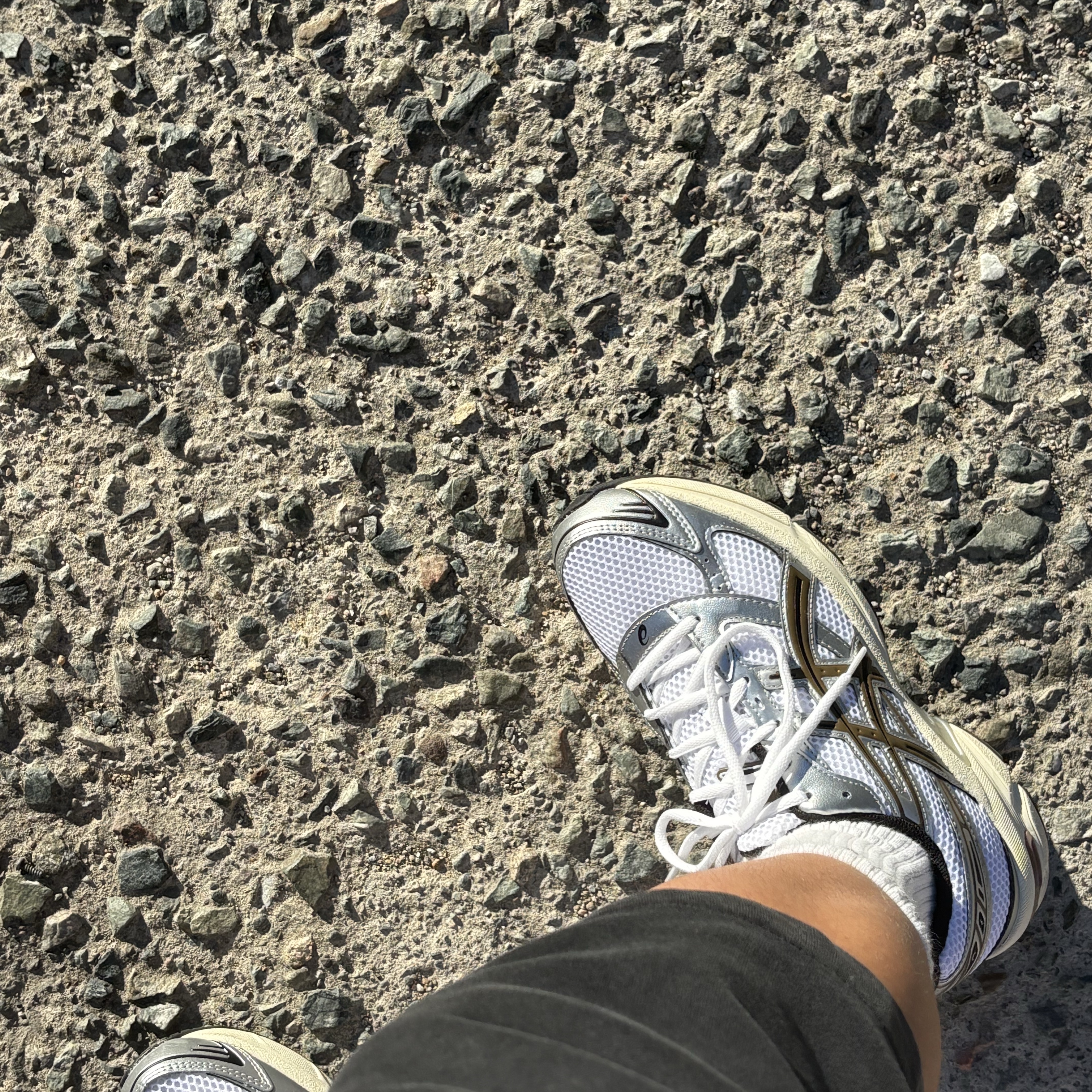 Asics Gel-1130 White Clay Canyon 착용 스타일