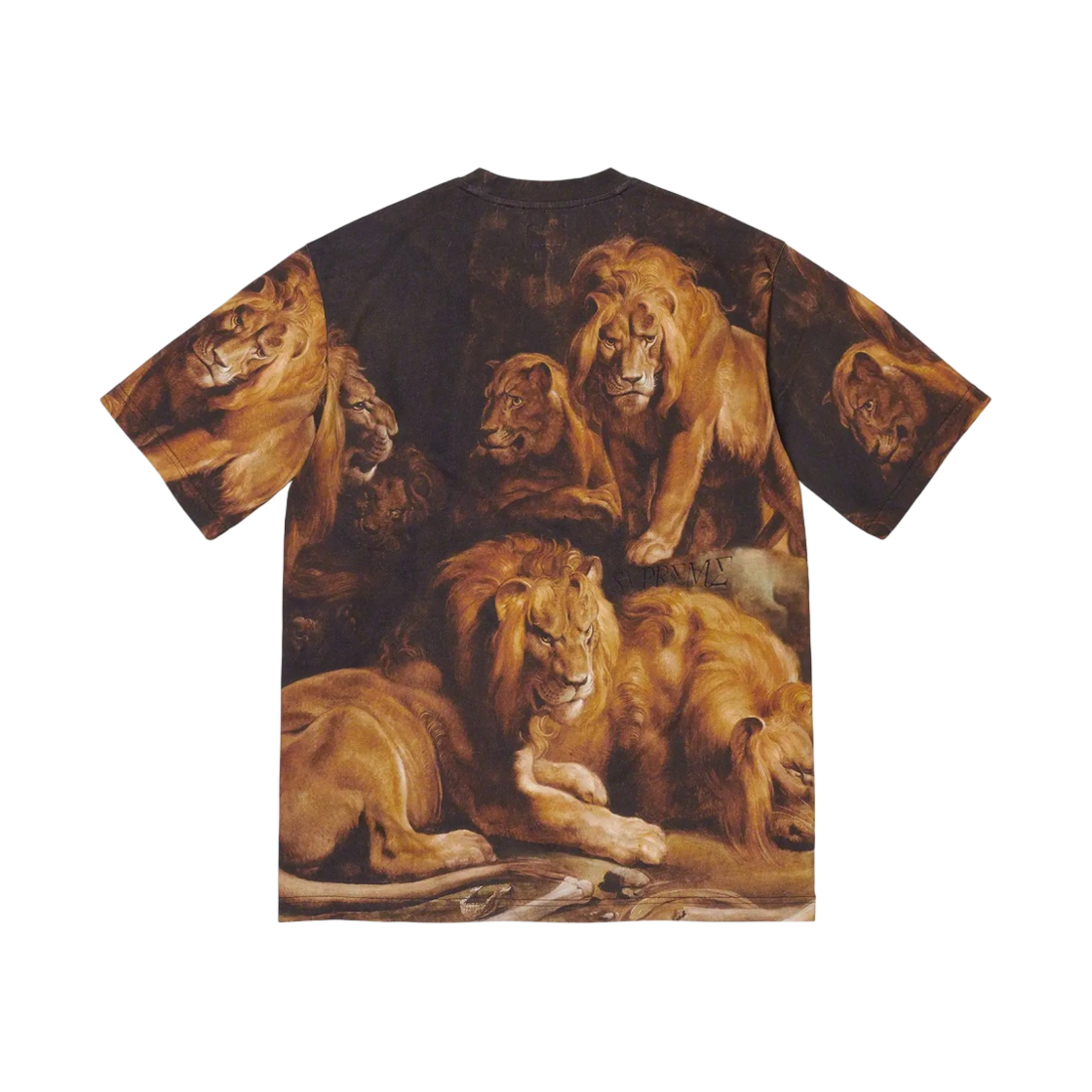슈프림 라이언즈 덴 숏슬리브 탑 멀티컬러 - 22FW(Supreme Lions' Den S/S Top Multicolor - 22FW) - 2