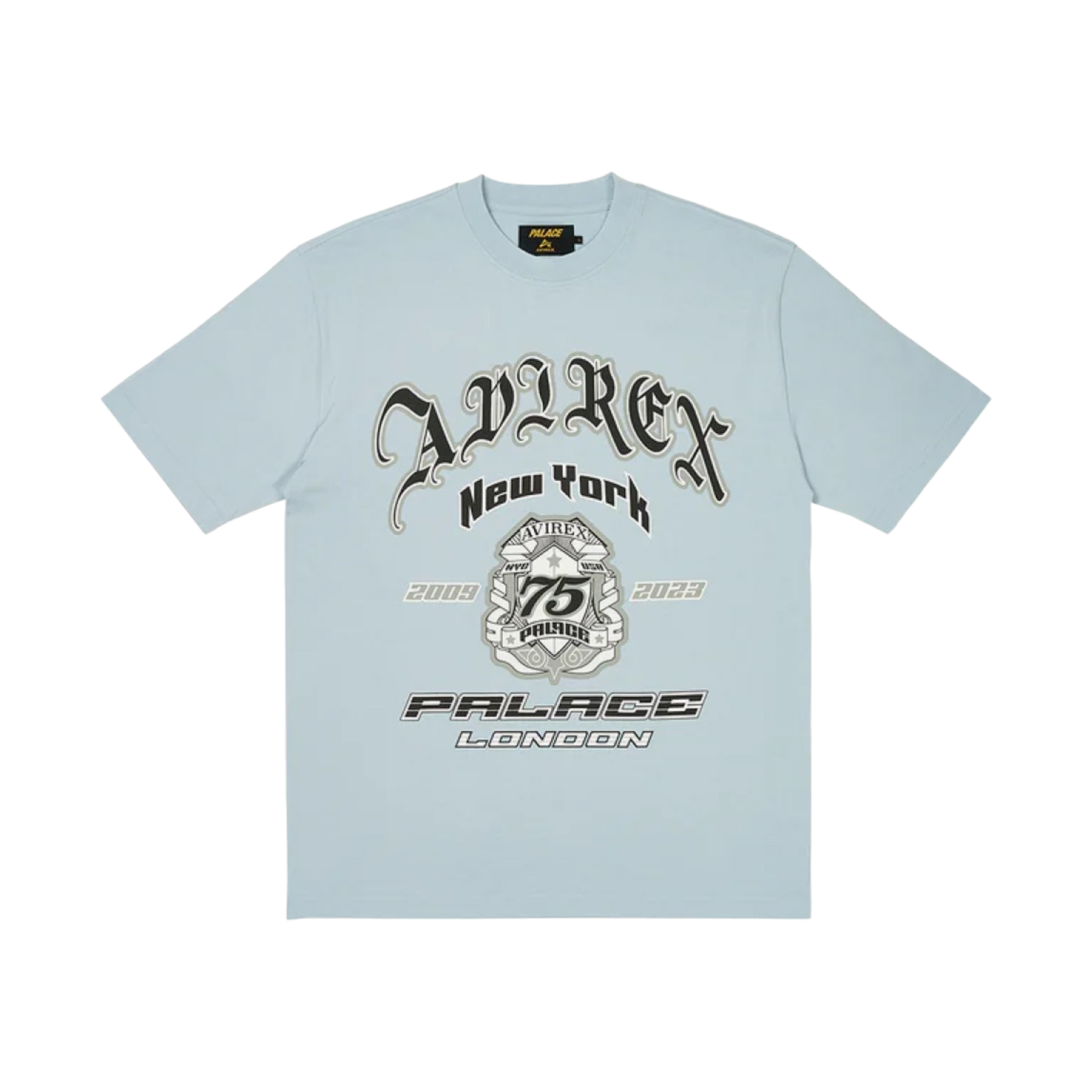 팔라스 아비렉스 티셔츠 칠 블루 - 23FW(Palace Avirex T-Shirt Chill Blue - 23FW)